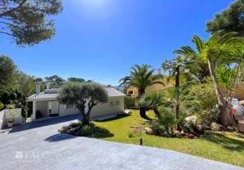 470408-Vorschaubild3