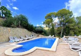 470434-Vorschaubild4