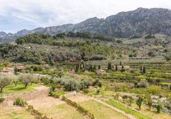 470681-Vorschaubild3