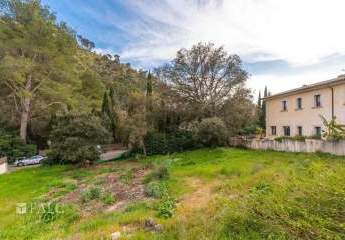 470698-Vorschaubild3