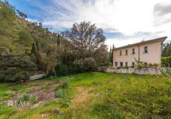 470698-Vorschaubild4