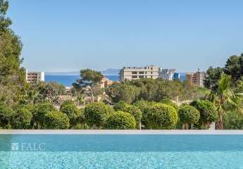 470881-Vorschaubild4