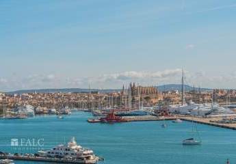 470902-Vorschaubild3