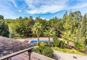 470907-Vorschaubild3