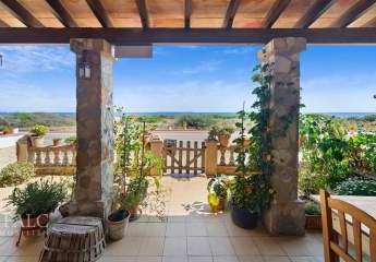 471112-Vorschaubild2