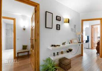 471229-Vorschaubild2