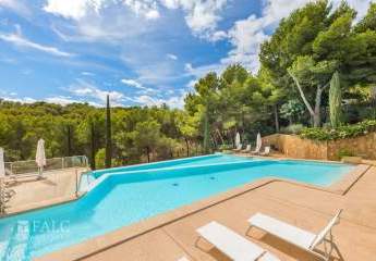 471233-Vorschaubild2