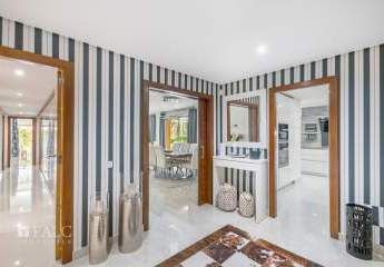 471233-Vorschaubild3