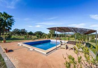 471252-Vorschaubild3