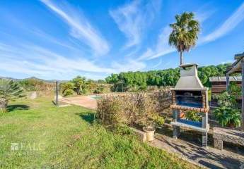 471252-Vorschaubild4