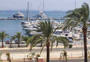 471461-Vorschaubild2