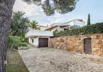 471707-Vorschaubild2