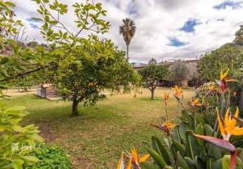 471708-Vorschaubild2