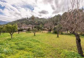 471708-Vorschaubild3