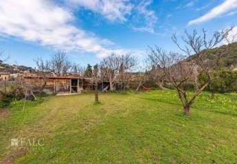 471708-Vorschaubild4