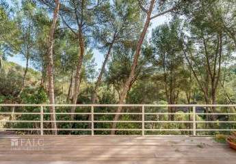 471722-Vorschaubild2