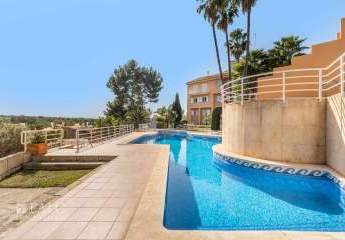 471722-Vorschaubild3