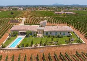 471725-Vorschaubild2