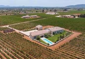 471725-Vorschaubild3