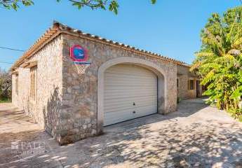 471734-Vorschaubild2