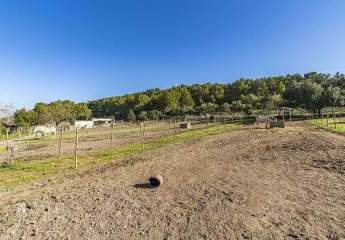 471735-Vorschaubild4