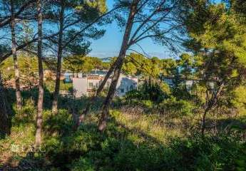 471742-Vorschaubild2