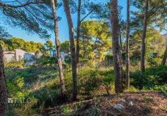 471742-Vorschaubild3