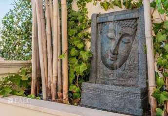 471747-Vorschaubild3