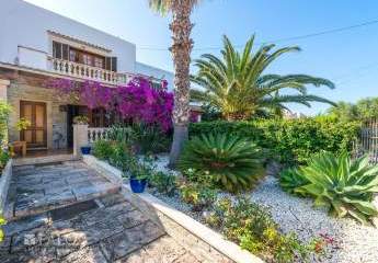 433247-Vorschaubild2