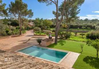 471867-Vorschaubild3