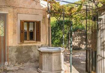 471886-Vorschaubild2