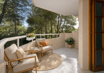 458364-Vorschaubild4