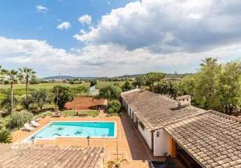 471877-Vorschaubild2