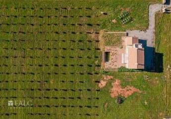 472106-Vorschaubild3