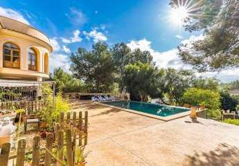 472124-Vorschaubild2