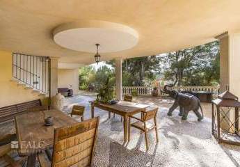 472124-Vorschaubild4