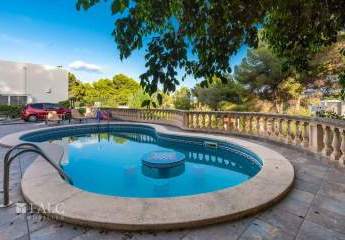 472139-Vorschaubild4