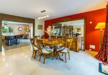 472148-Vorschaubild3