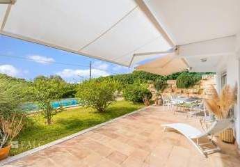 472154-Vorschaubild2