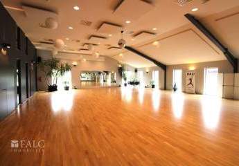 441134-Vorschaubild2