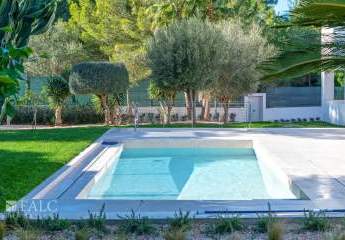 472265-Vorschaubild3