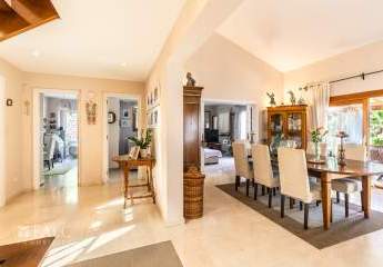 472273-Vorschaubild3