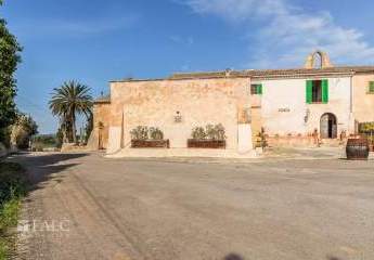 472355-Vorschaubild3