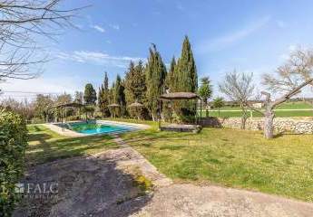 472355-Vorschaubild4