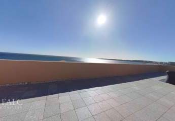 472366-Vorschaubild2