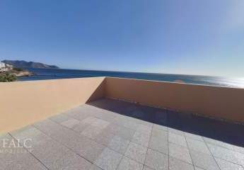 472366-Vorschaubild3