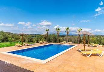 472457-Vorschaubild2