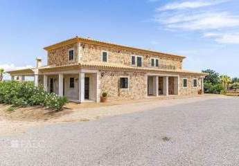 472457-Vorschaubild3