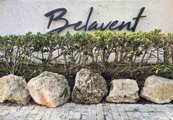 472478-Vorschaubild2