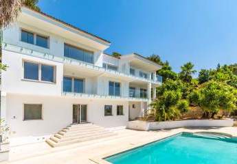 472479-Vorschaubild2